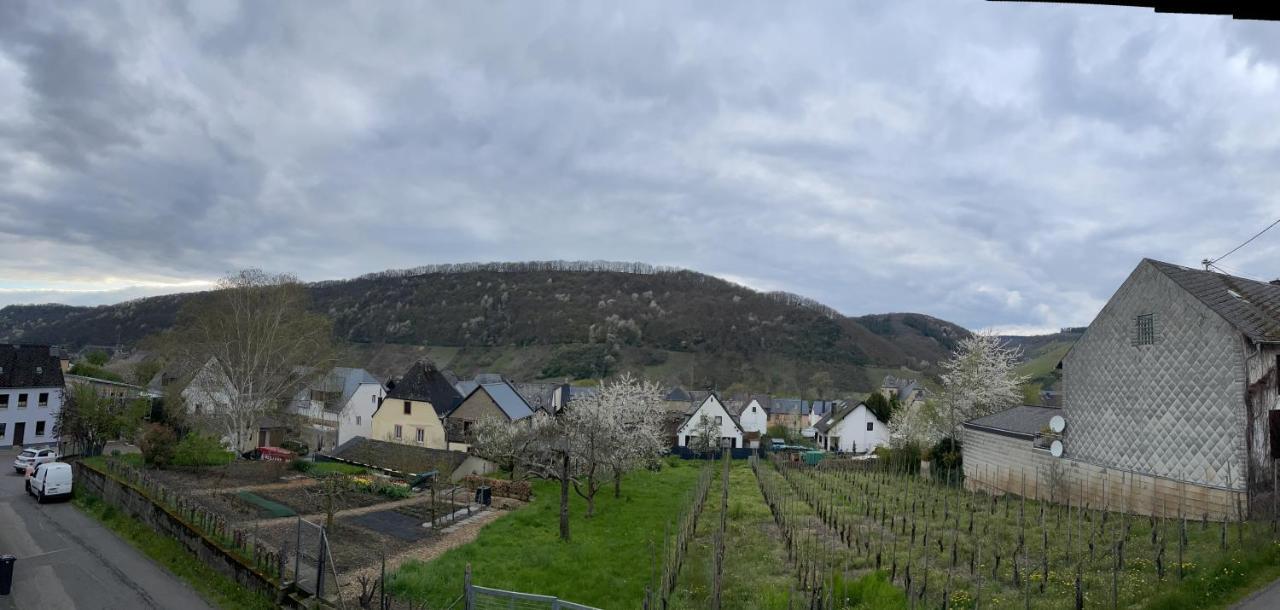 Ferienwohnung " Wein Unter Palmen " Neumagen-Dhron Extérieur photo